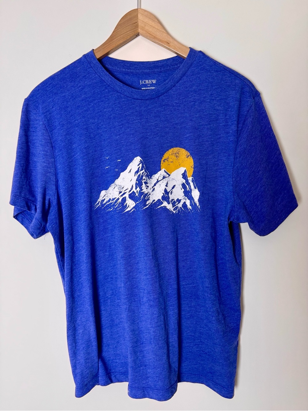 J.Crew Men’s Blue Graphic Mountain T-Shirt